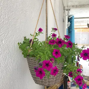 https://bnb-le-janas.in-sardinia.net